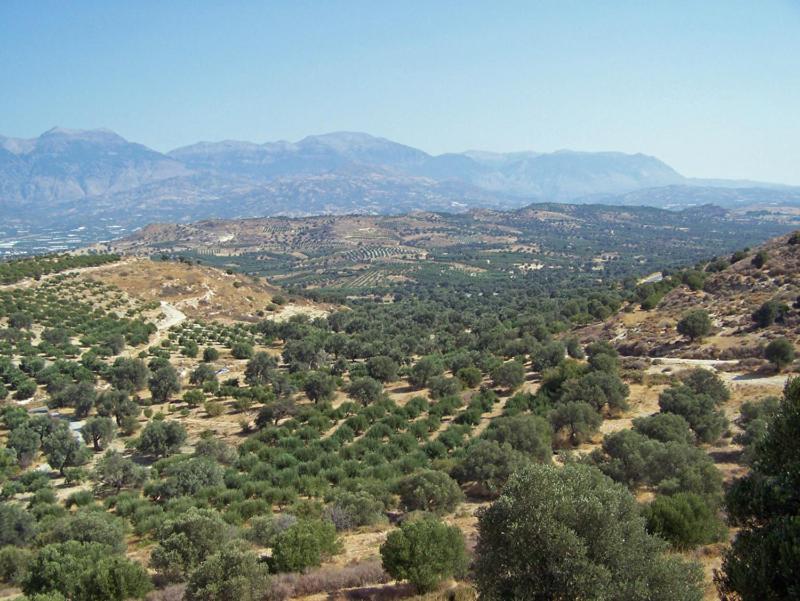 Villas Alexandros 칼라마키 객실 사진